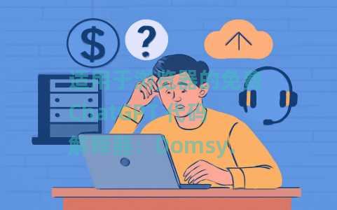 适用于浏览器的免费 ChatGPT 代码解释器：Domsy.io